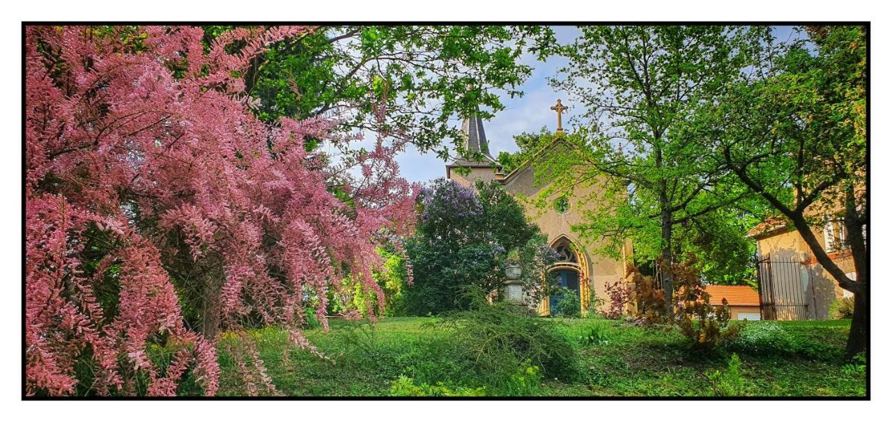 Chateau De Logne Ay-sur-Moselle Exterior photo