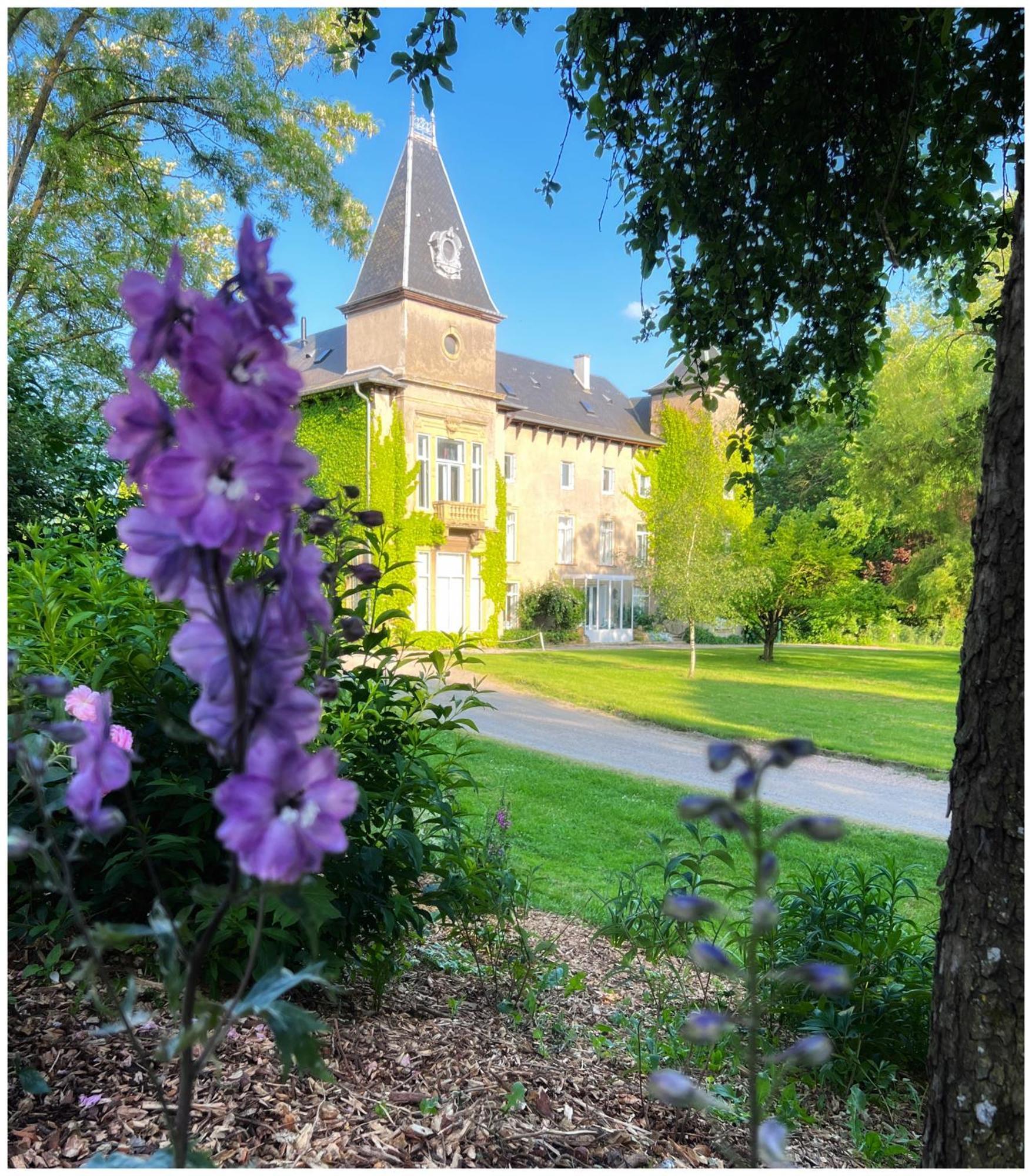 Chateau De Logne Ay-sur-Moselle Exterior photo